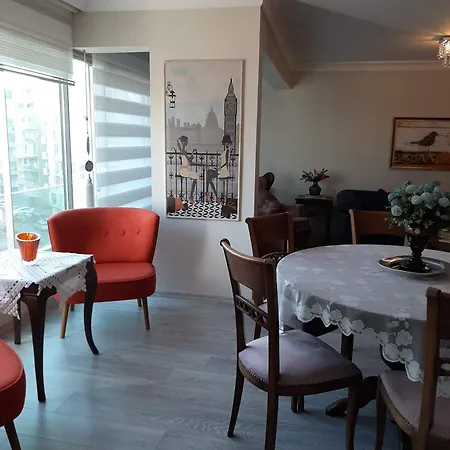 Newly Renovated In Kordon